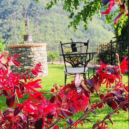 Green House Pieve di Teco Bagian luar foto