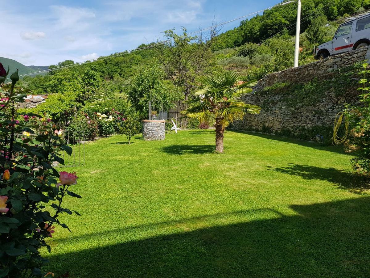 Green House Pieve di Teco Bagian luar foto